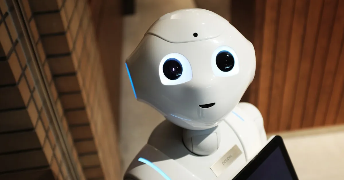 The Solopreneur Back Office: What to Automate First